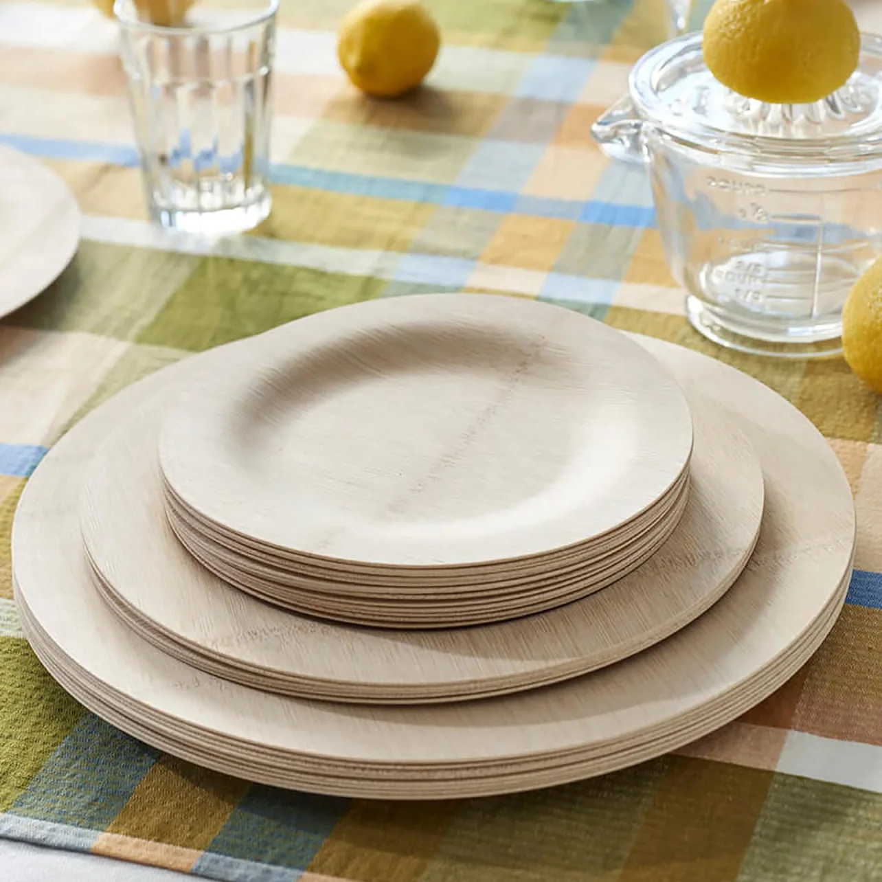 Biodegradable compostable Tableware Plates Dinnerware Sets Disposable Fruit Spoon fork knife chopsticks Kit Bamboo dishes