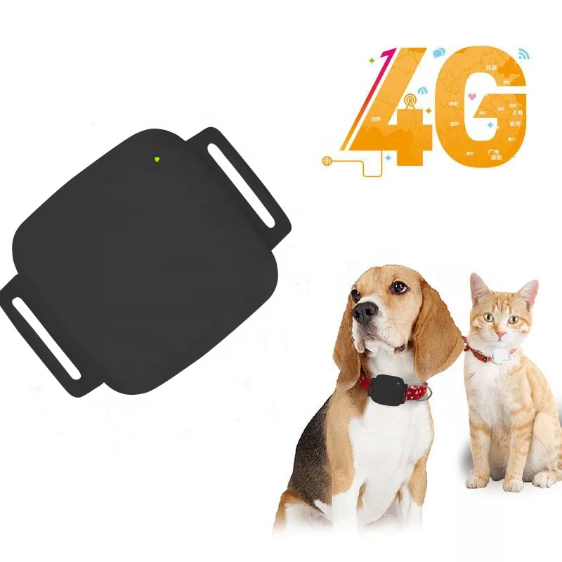 OEM Real-Time 4G Anti Lost Tracking GPS Pet Dogs Mini Collar Pet Puppy Cat Locator Finder Dog GPS Tracker