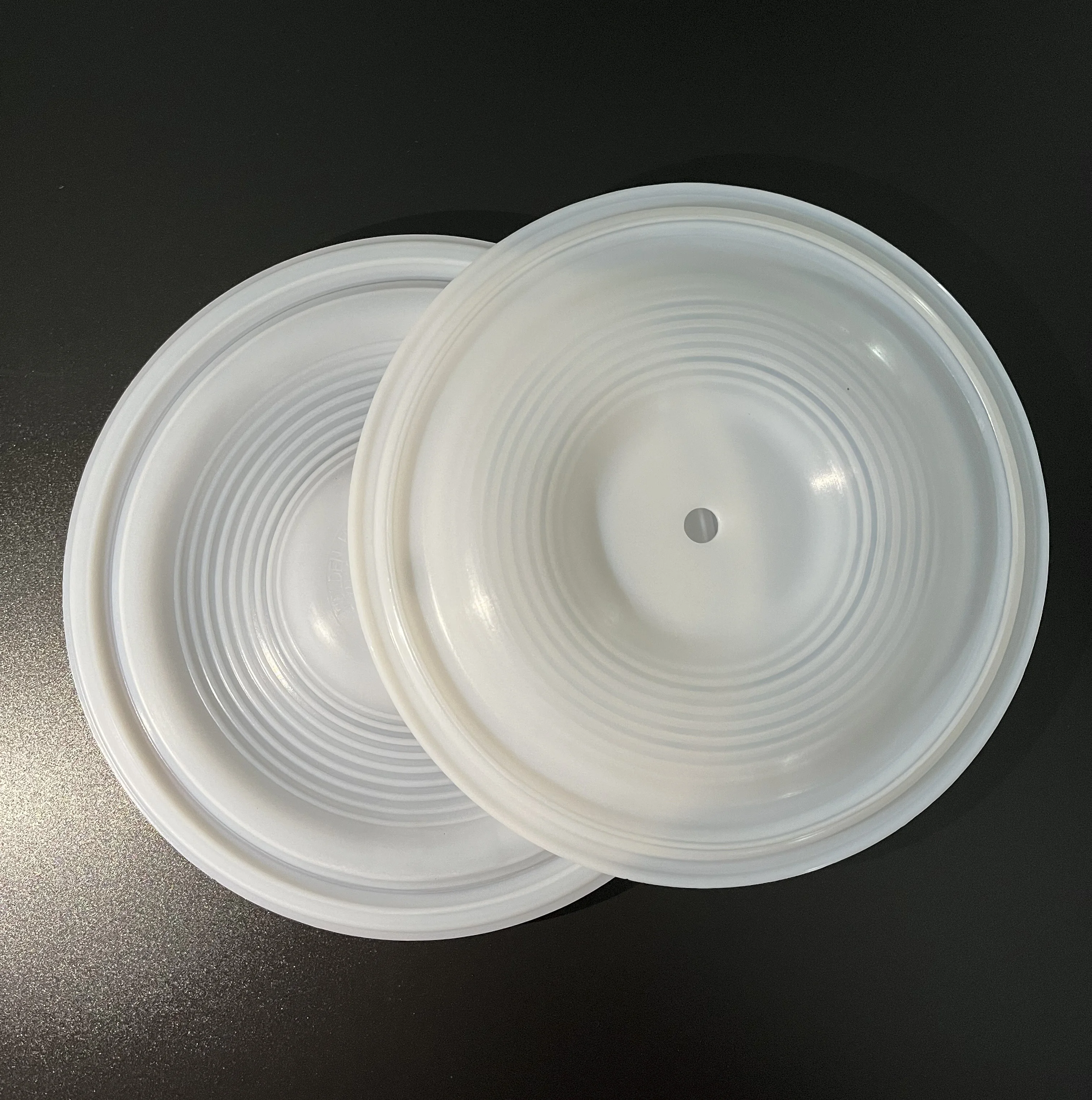 High Quality Thread 02-1010-55 Air Operated Pum Seals Part PTFE Diaphragm for WILDEN Diaphragm Pump