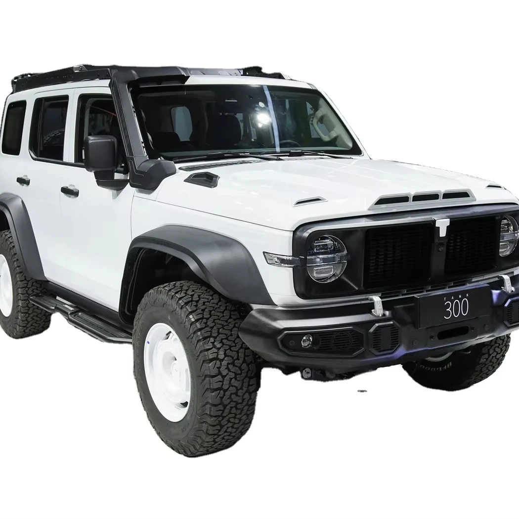 2024 2.0T Tank 300 4L Light Hybrid System Compact SUV New Gasoline Cars 175km/h Great Wall Rc Petrol Car