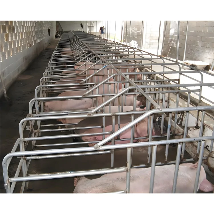 Pig production breeding bed Mother pig sow farrow crate galvanised steel gestation cratewith with Cast iron floor for animal far