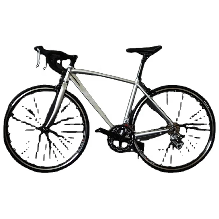 Sport Racing Adjustable Seat Mag Wheels Light Weight Camp Road Bike