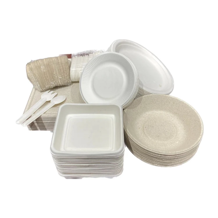 Disposable Biodegradable PFAS Free Plates with 5 Compartments Sugarcane Bagasse Dishes