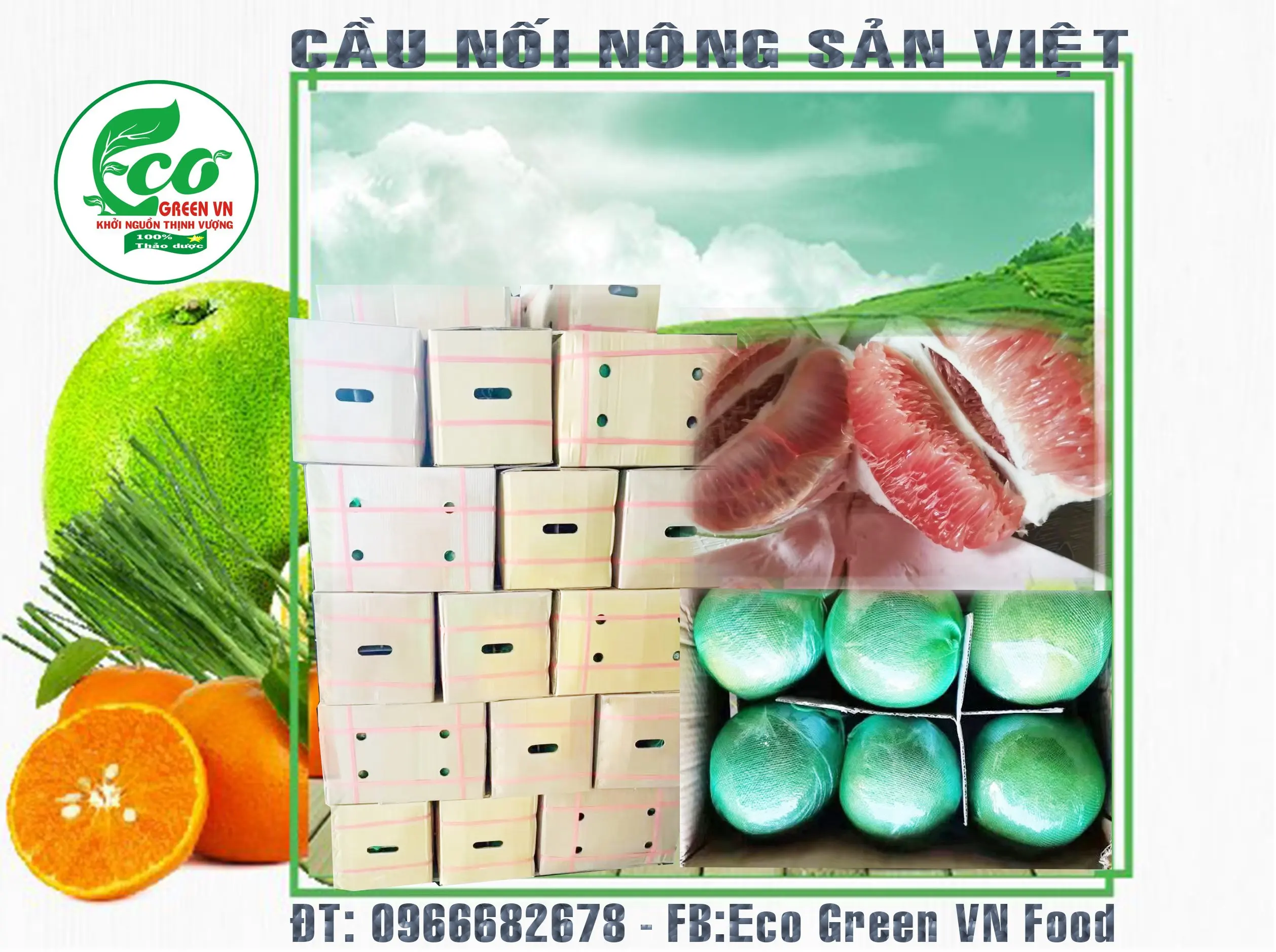 Grapefruit fresh fruit Variety Weight