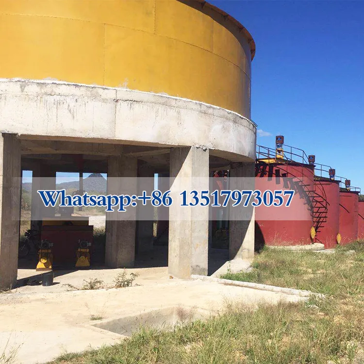 High performance gold cyanide leaching plant supplier