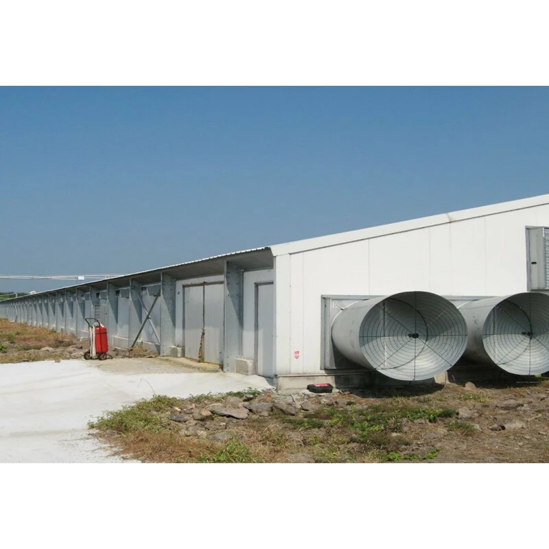 Autocad design steel poultry house fast construction steel chicken farming building