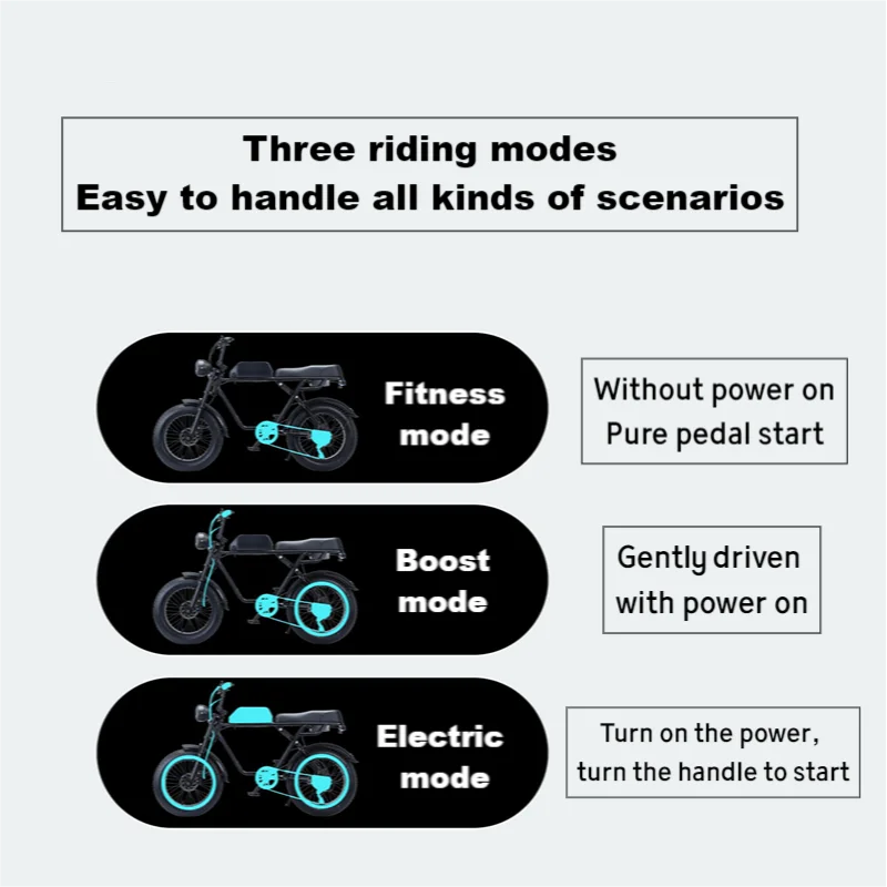 Dual Suspension 48V Electric Fat Bike for Adults High Carbon Steel Frame with Motor Motorcycles