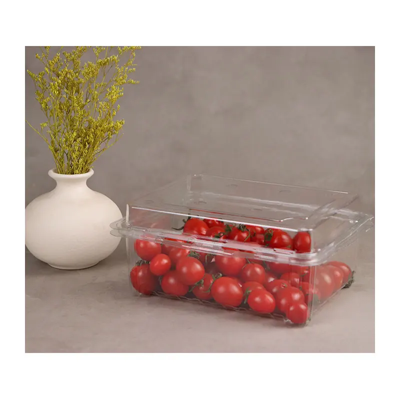 Custom PET Fruit Box Packaging Plastic Container Eco Disposable Clear Food Grade Custom Plastic Box