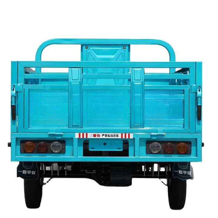 2024 Factory Direct Best-Selling 800W 60V Electric Pedicab Popular Rear Hub Motor Passenger Tricycle with Integrated Battery