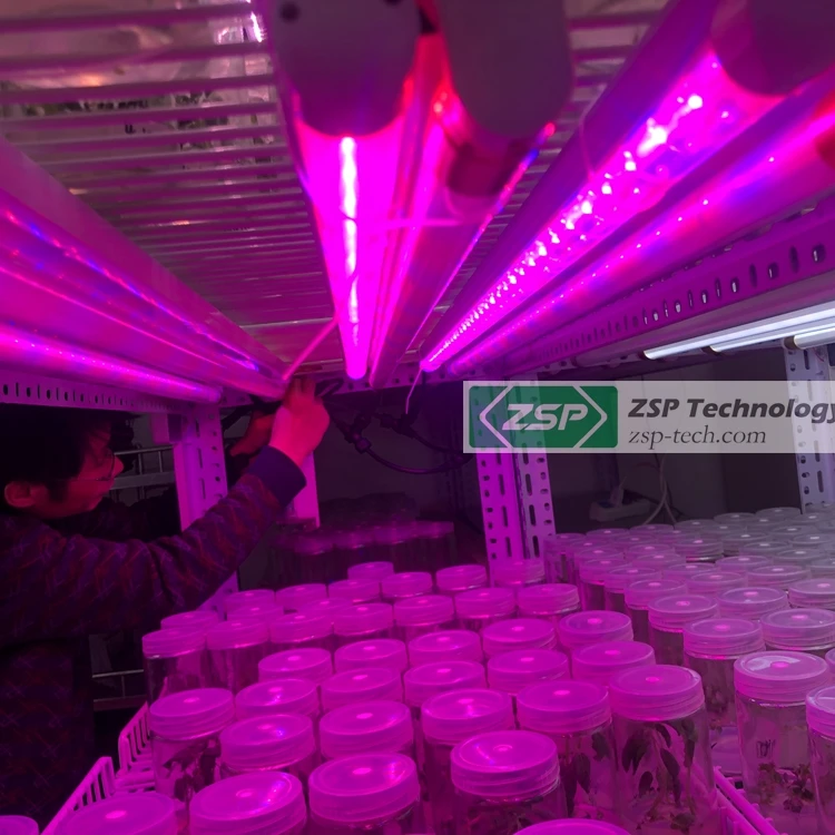 ZSP 45w 60cm ZPDT802 LED Grow Light tissue culture room