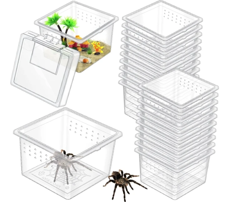 Insect Spider Terrariums Breeding Box Small Reptile Hatching Container Transparent Cricket Keeper Breeder Box