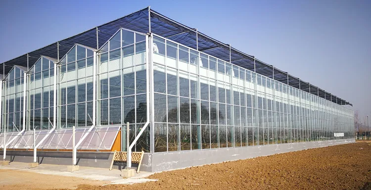 IMG_20201223_134727_