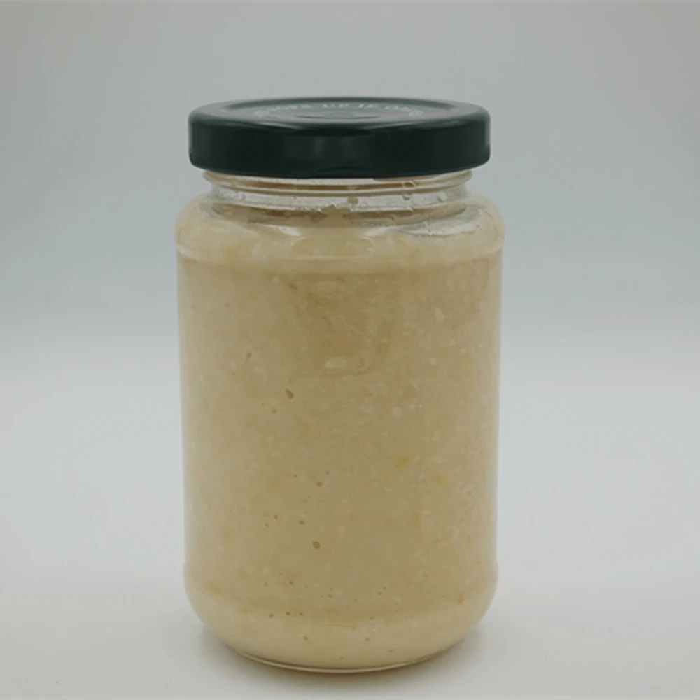 condiment bottled  ginger & garlic  paste  ginger and garlic puree in jar