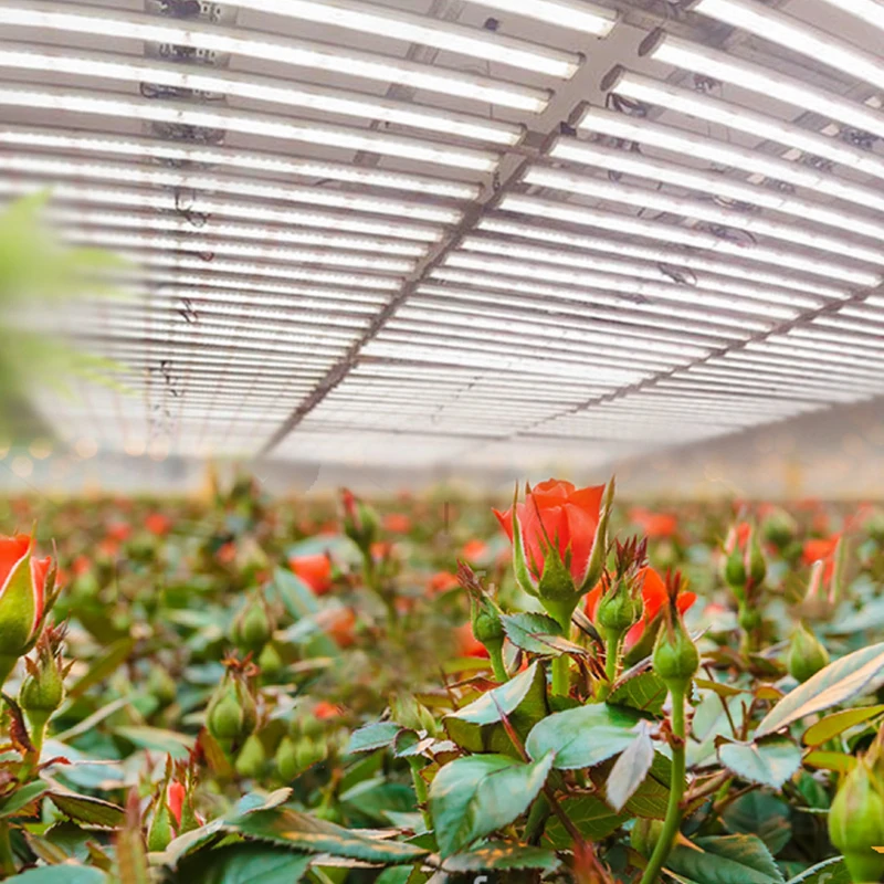 2024 new design grow light better than Gavita 1650 pro E led grow light bars full spectrum 600w replacing HPS 1000W grow lamp