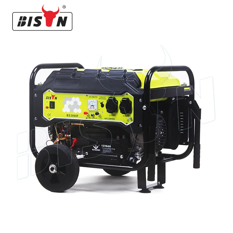 Bison Chinese Made 230V 60Hz Gasoline Generator 7 Kw 110 220 Volts Gasoline Electricity Generator