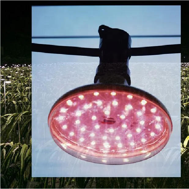Guangzhou Factory direct sell CE IEC IP65  plant growth lights & Framing/Breeding lamp