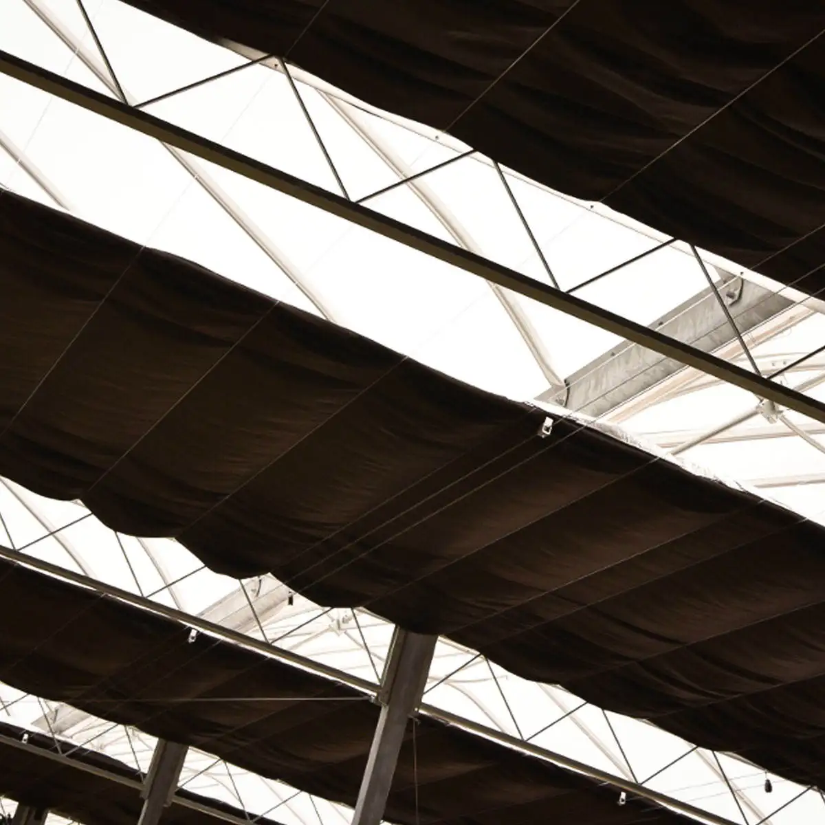 Light Deprivation Greenhouse For Sale Commercial Plastic Film Blackout Greenhouse