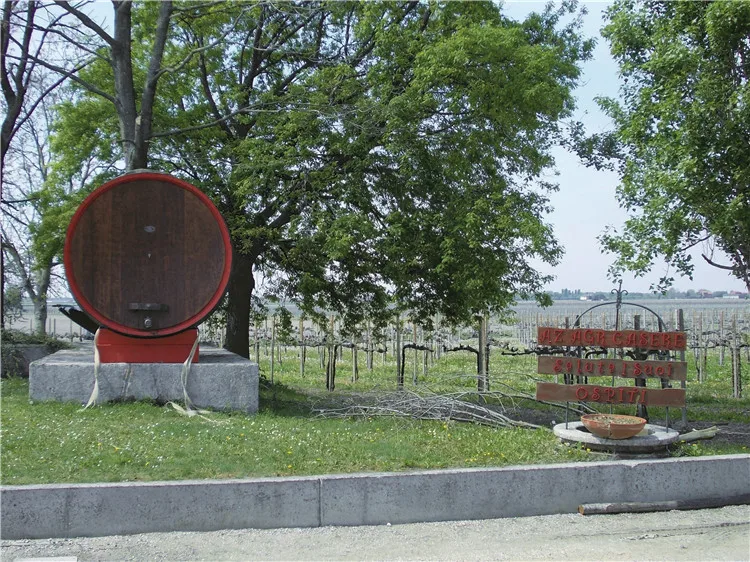 Rose Millesimato Doc - Stainless Steel Doc Glera 2019 11% Alcohol 750Ml Wine Bottle Italian Wholesale Sparkling Wine Rose