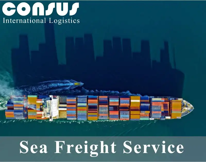 Fast FCL LCL Container Shipping Sea Freight Forwarder to Hamburg Germany