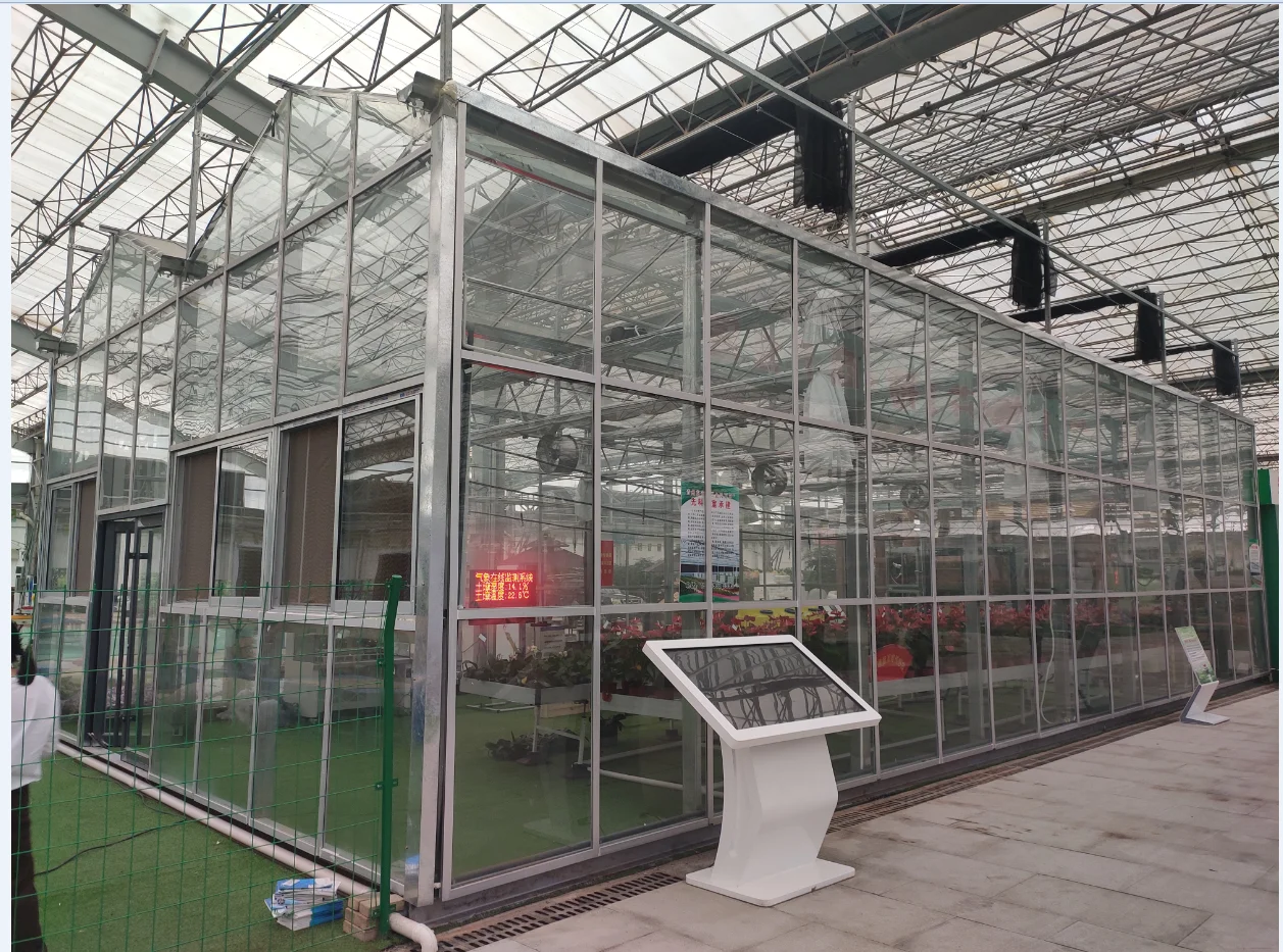 China Manufacturer Excellent Material small glass green house little intelligent