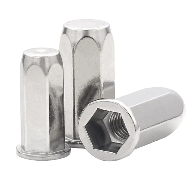 M8 M10 M12 Stainless Steel Polish SS304 316 316L A2 A4 70 80 ANSI AISI 304 316 SUS 304 316 Hex Hexagon Flat Head Blind Rivet Nut