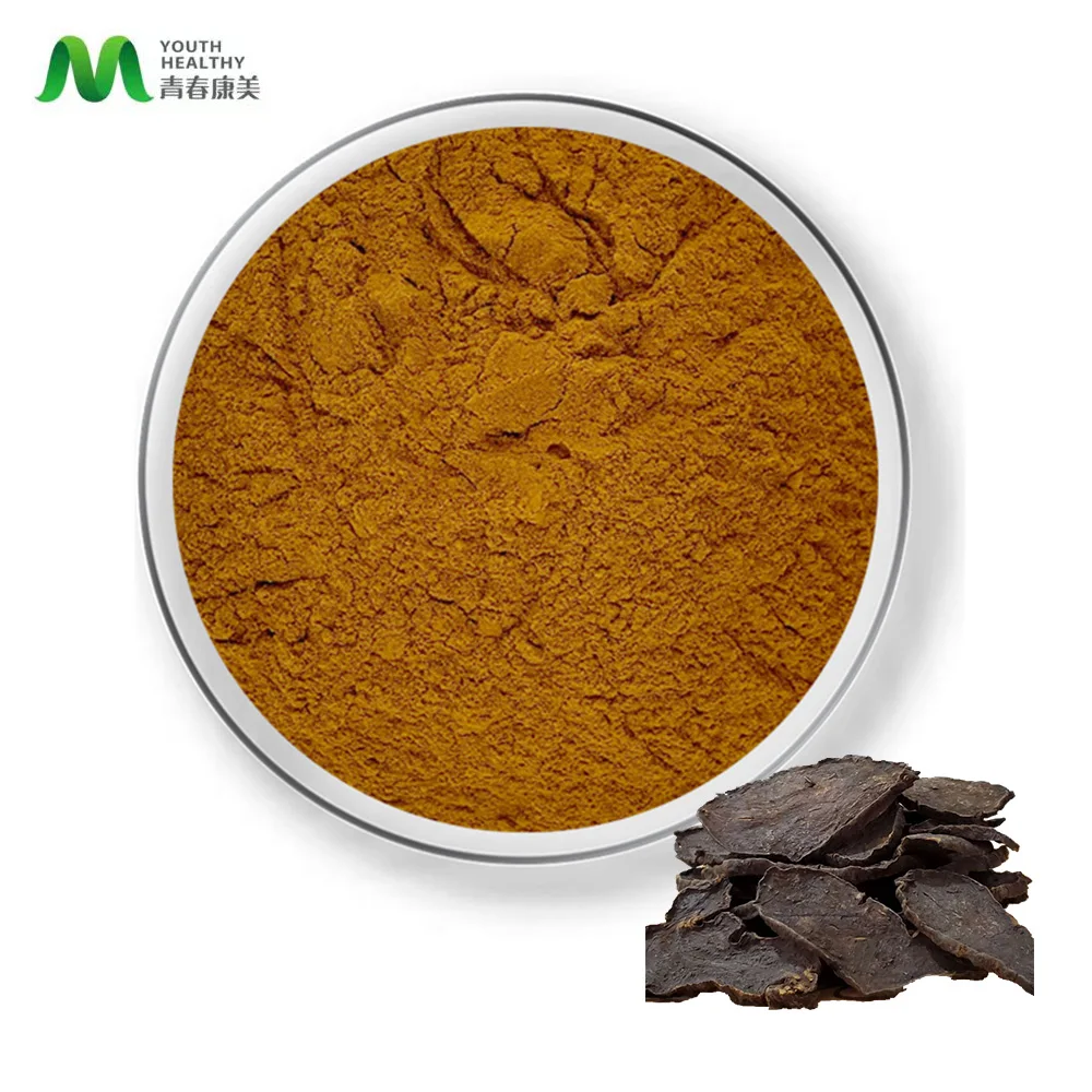Competitive Price Natural Plant Polygonum Multiflorum Extract