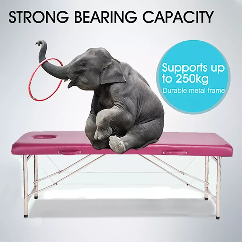 Professional Thai folding portable head luxury water massage bed