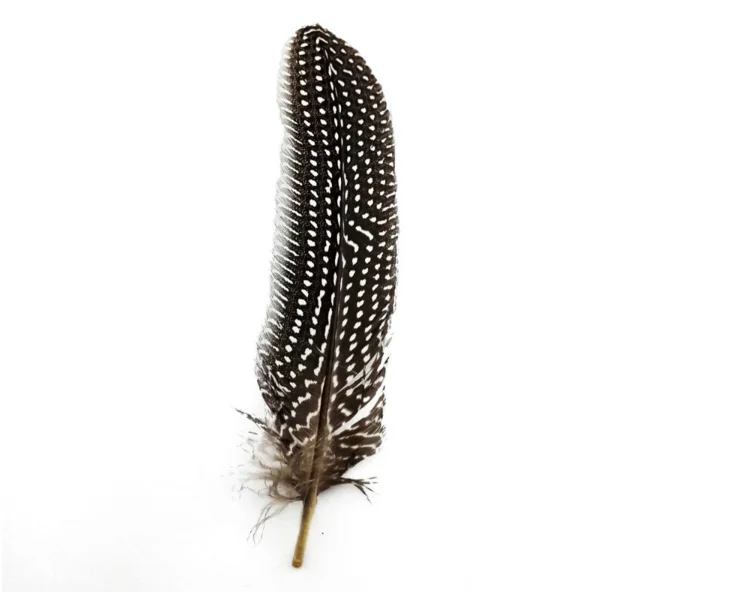 Cheap Dyed Guinea Fowl Feather Bird Feather for Decoration