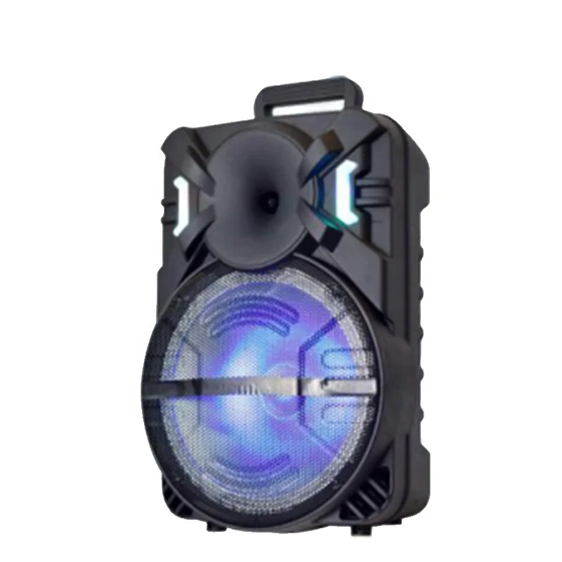 Top Quality 12 Inch Private Mode 20W Rechargeable Trolley Speaker Music Player for Stage