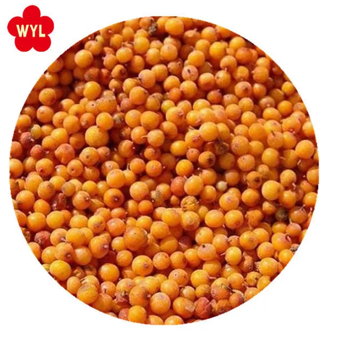2024 New crop Shelf-stable Frozen fruits IQF berries frozen sea buckthorn origin China
