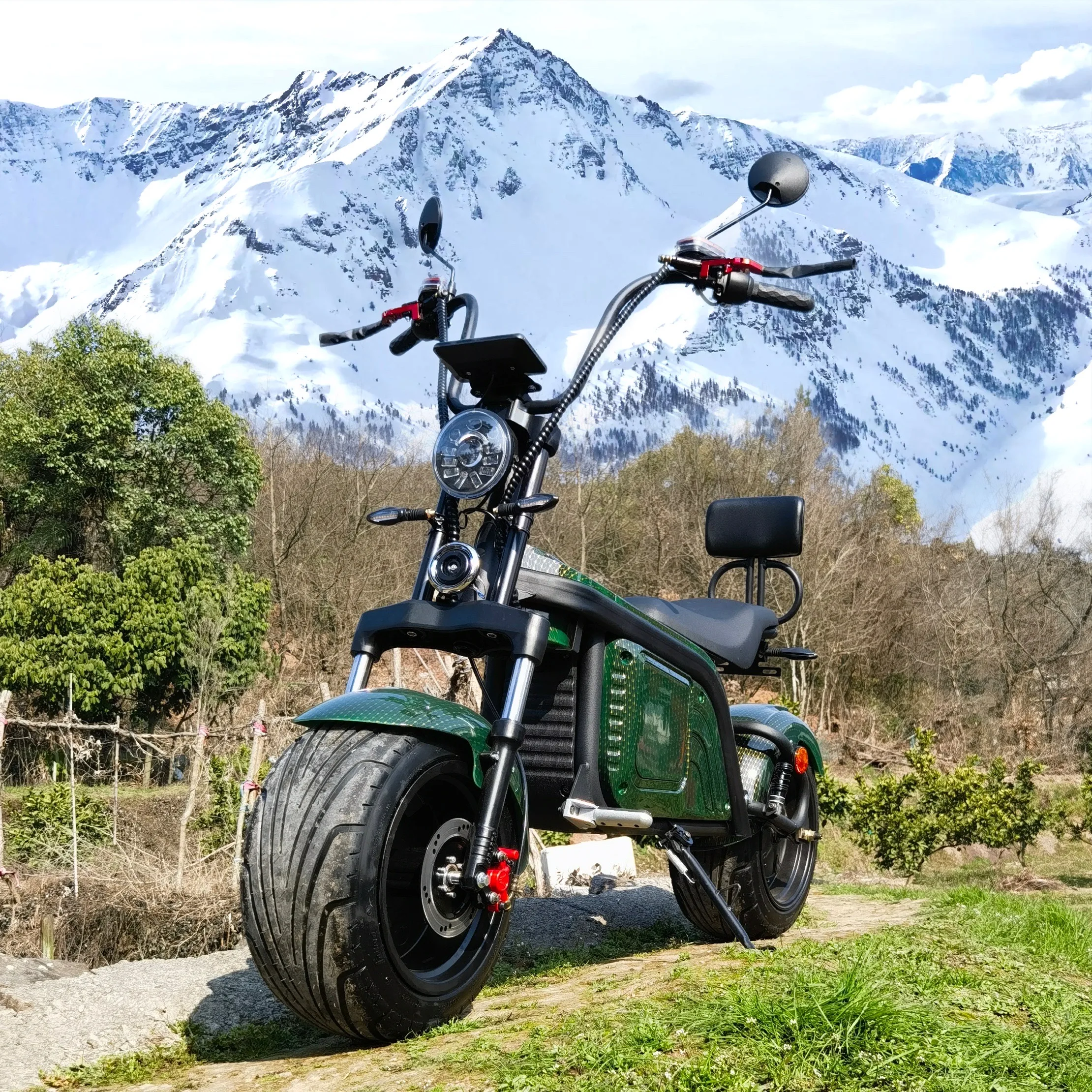 Europe Warehouse Electric Scooter Citycoco 1000W 1500W 2000W Moto SCOOTER CITYCOCO