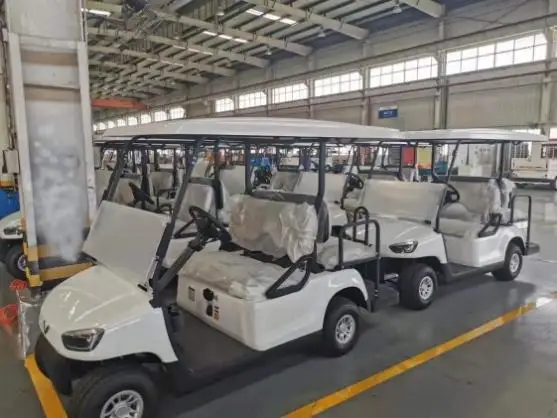 
Certification New road legal electric golf cart farm utility electric vehicle with rear seat 