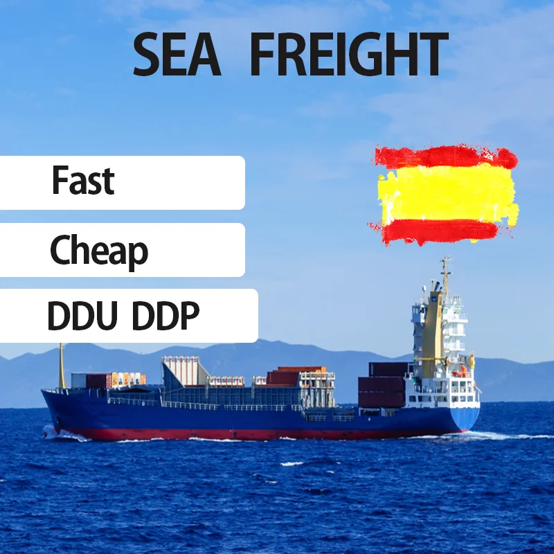 Customs Clearance Service Sea shipping forwarder from china Import to