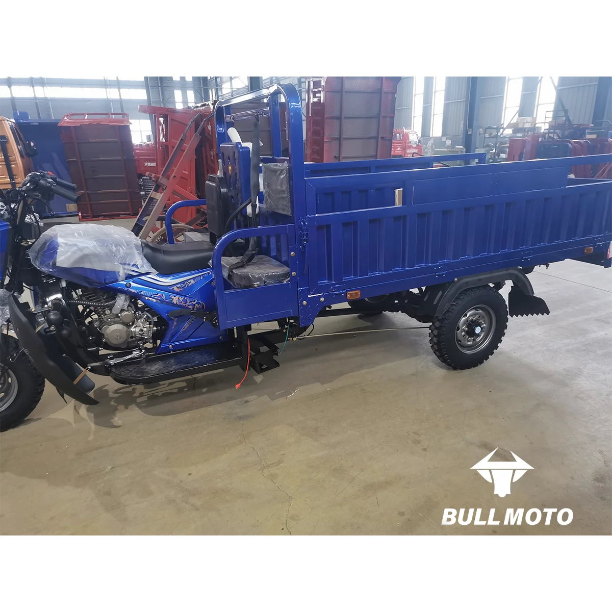 Heavy Duty 250cc 3 Wheel Gasoline Engine Motorized Petrol Cargo Trike Bike High-Power Farm Tricycle