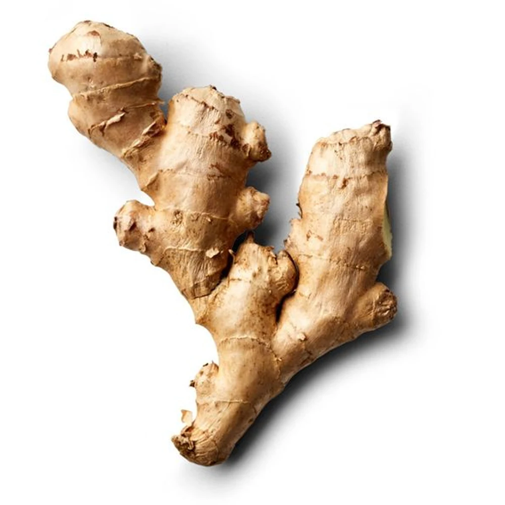 Wholesales Price Mature Fresh Ginger Stable Quantity From AGN Manufacturer +84962246940(Whatsapp)