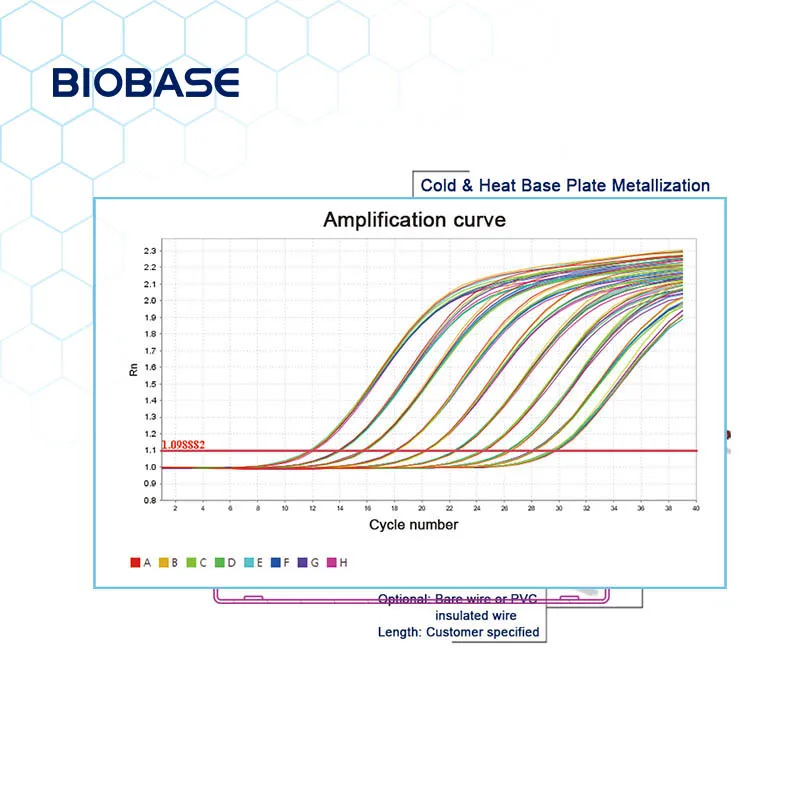 BIOBASE China Fluorescent Quantitative PCR Detection System with pcr test kit rapid Price
