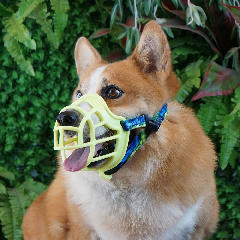 Высококачественный ТПЭ предотвращает укусы, снимает лай, прикрывает наморду собаки