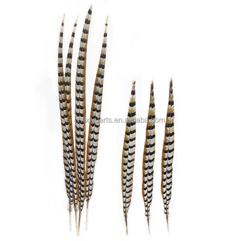 Wholesale Natural 10-160 cm Pheasant Feathers Long Reeves Pheasant Tail Feathers