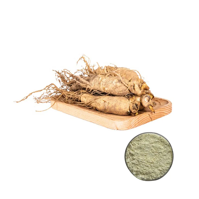 
100% Nature Product Panax Ginseng Root Extract Powder / Ginsenoside 4% 30% 80% by HPLC / UV 