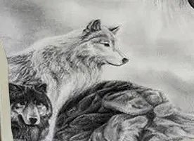 OEM ODM Customized Photo 3d Digital Printing Wolves Flannel Fabric Sherpa Fleece Blanket