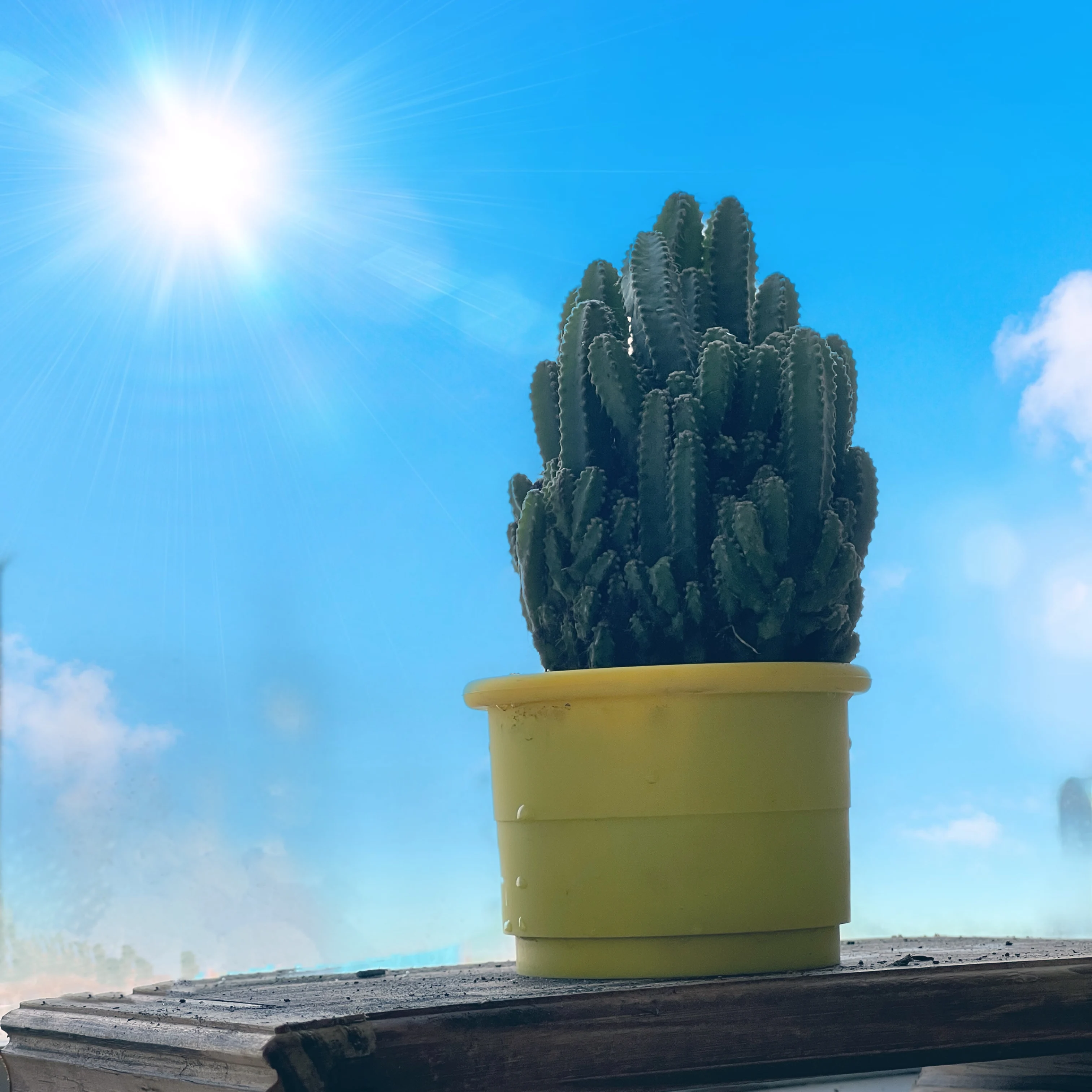 Hot Sale Mini Flower Pot Silicone Planter Pot for DIY Homemade Succulent Plant Pots