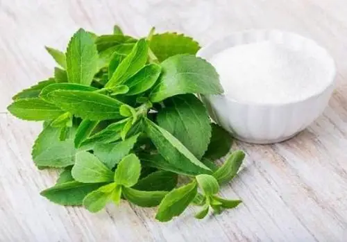 Manufacturer Best  Price 97% 98% 99%  Stevioside Food Sweetener Stevia Extract Powder