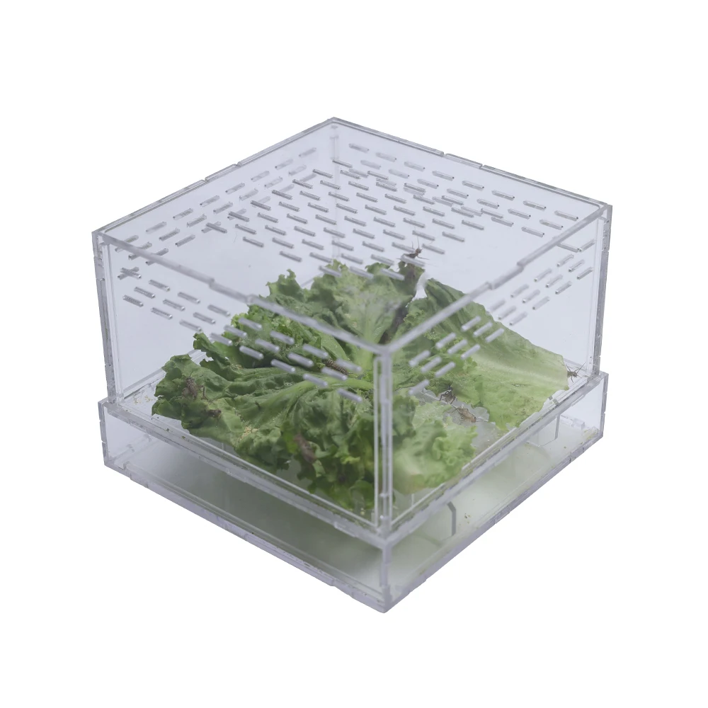 Прозрачная коробка для размножения рептилий, Террариум, большая клетка, прозрачная акриловая рептилия