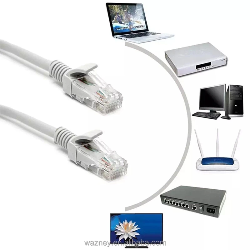 cat6---21.jpg