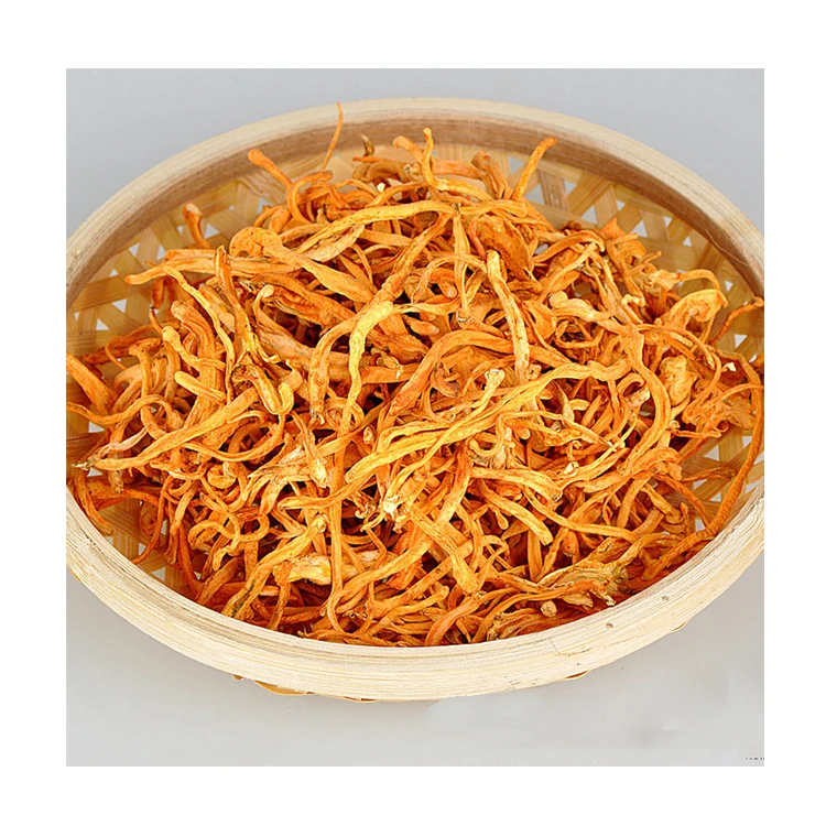 golden Mushroom Militaris Dried Cordyceps Flower for sale