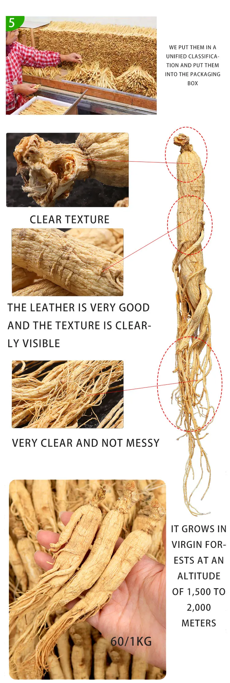 Natural Organic Wild Panax Ginseng Root Dried Red Korean Ginseng Extract Whole Ginseng Root