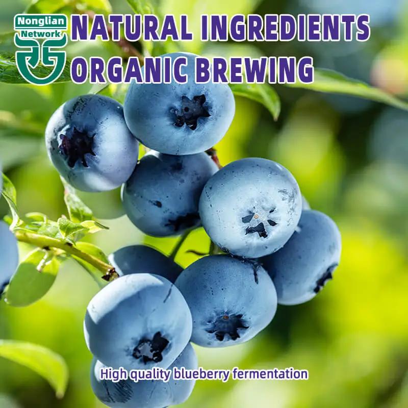 High Quality Sparkling Wine 12vol Yantai Dry blueberry wine With alcohol content