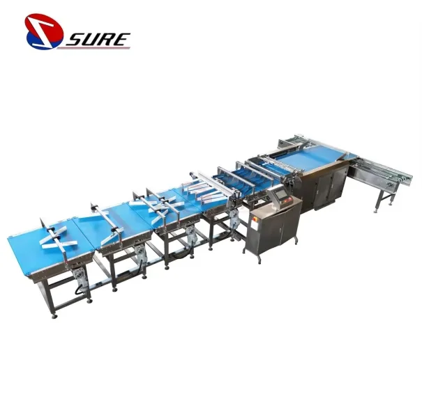 Biscuit Cookies Feeding and Packaging Line Automatic Feeding and Packing Line Automatic Production Line for Cake Packing Machine