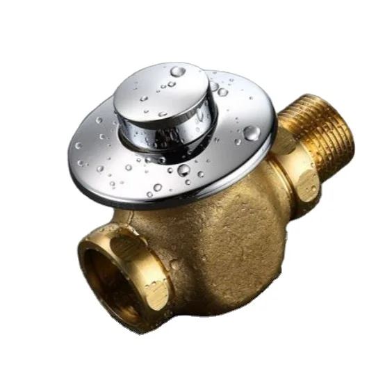 Flush Valve Concealed Manual Water Closet Flush Valve Push Button Toilet Flushing Valve