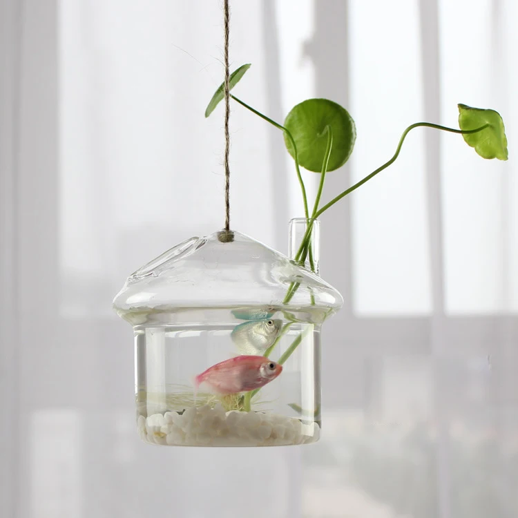 Free Shipping Metal Frame Air Plants Succulent Planters Large Terrarium Hanging Glass Vase